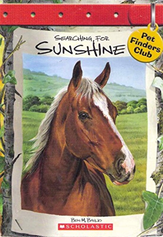 Book cover for "Searching for Sunshine" by Ben M Baglio