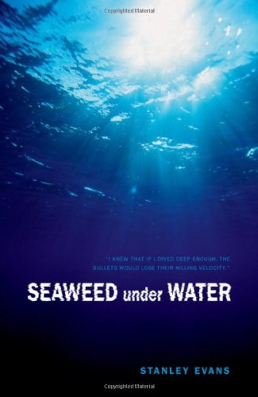 Book cover for "Seaweed Under Water" by Stanley Evans