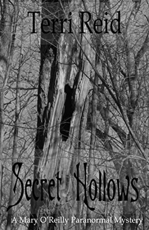 Book cover for "Secret Hollows" by Terri Reid