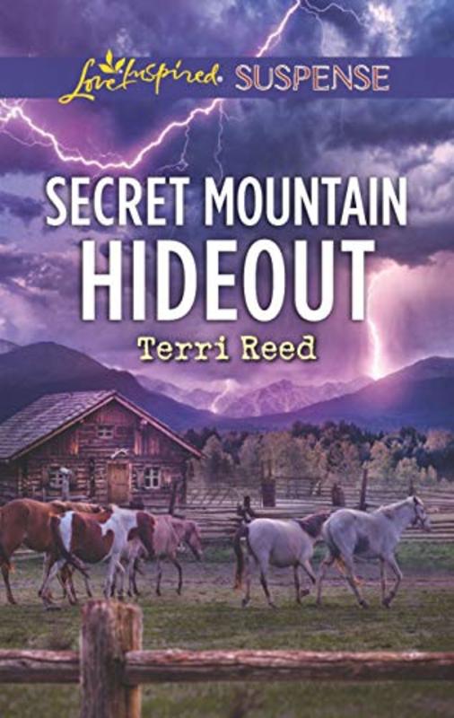Book cover for "Secret Mountain Hideout" by Terri Reed