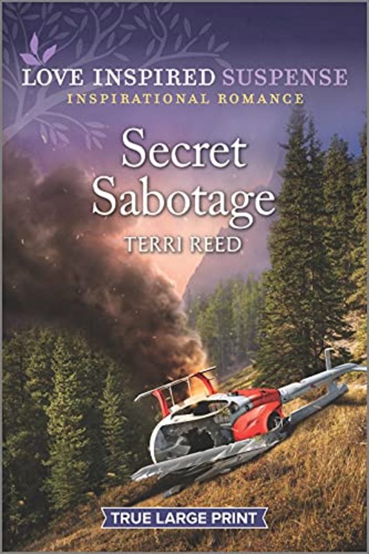 Terri Reed book cover