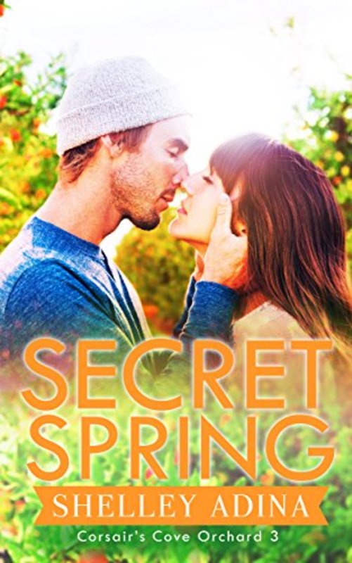 Book cover for "Secret Spring" by Shelley Adina