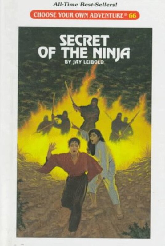 Book cover for "Secret of the Ninja" by Various