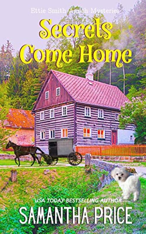 Book cover for "Secrets Come Home" by Samantha Price