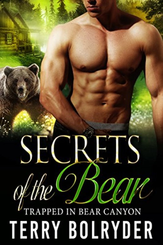 Book cover for "Secrets of the Bear" by Terry Bolryder