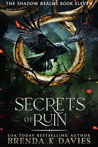 Book cover for "Secrets of Ruin" by Brenda K Davies
