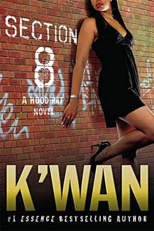 Book cover for "Section 8" by K'wan Foye