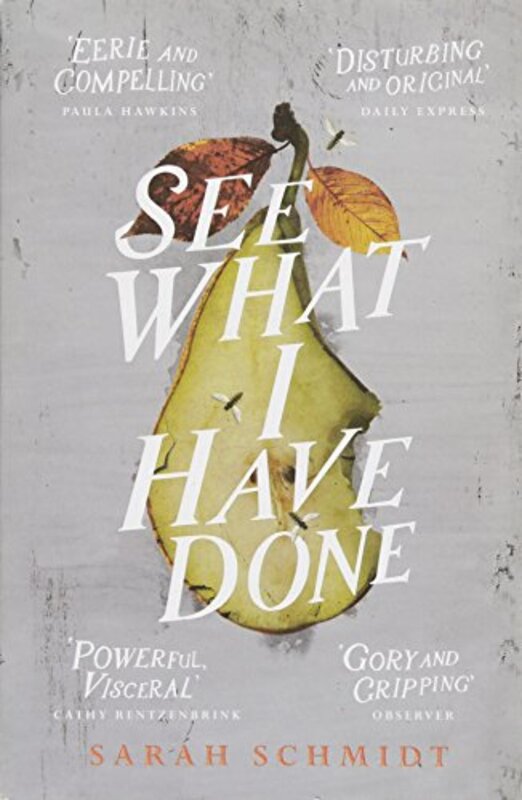 Sarah Schmidt book cover