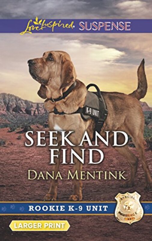 Book cover for "Seek and Find" by Dana Mentink