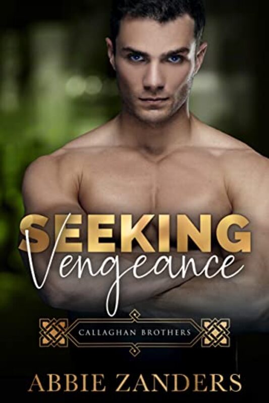 Book cover for "Seeking Vengeance" by Abbie Zanders