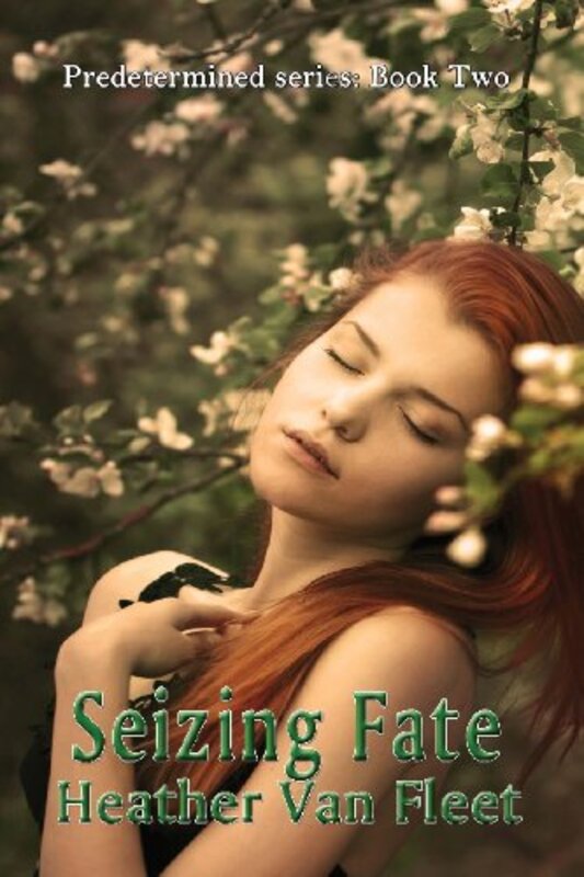 Book cover for "Seizing Fate" by Heather Van Fleet