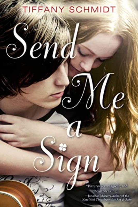 Book cover for "Send Me a Sign" by Tiffany Schmidt