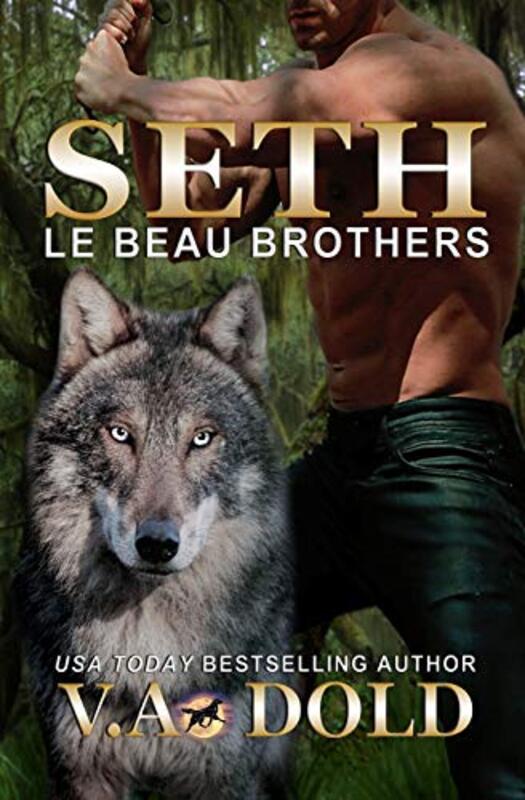 Book cover for "Seth" by VA Dold