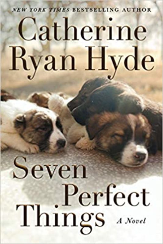 Catherine Ryan Hyde book cover