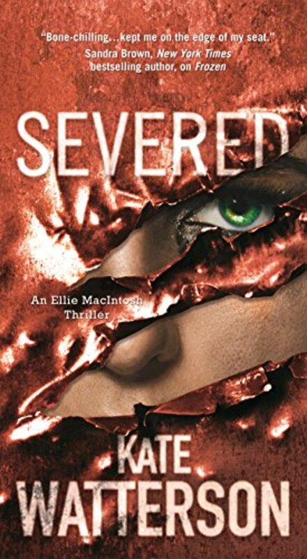 Detective Ellie MacIntosh book cover