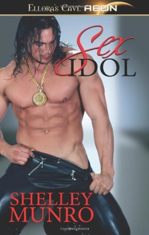 Book cover for "Sex Idol" by Shelley Munro