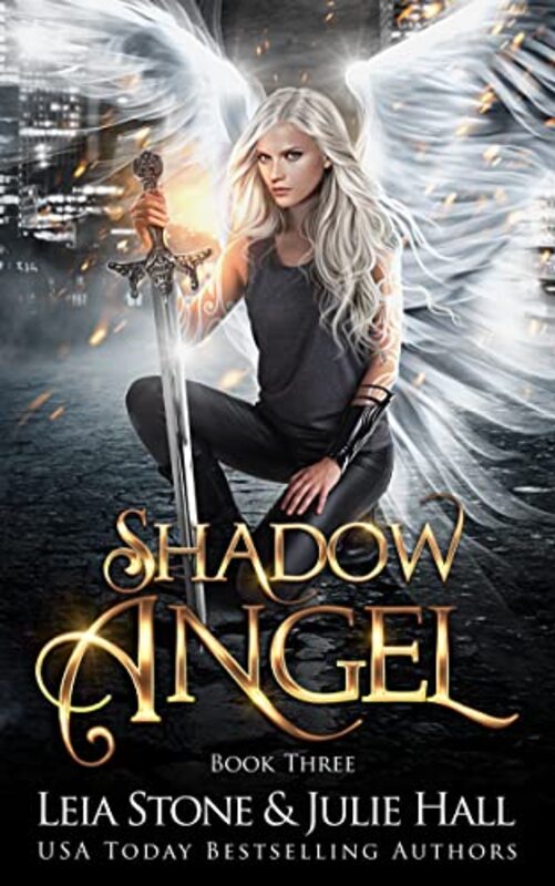 Book cover for "Shadow Angel: Book Three" by Leia Stone
