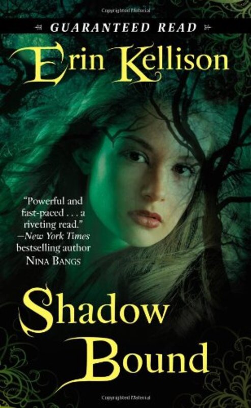 Book cover for "Shadow Bound" by Erin Kellison