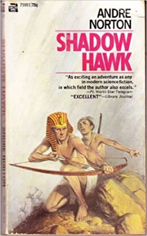 Book cover for "Shadow Hawk" by Andre Norton