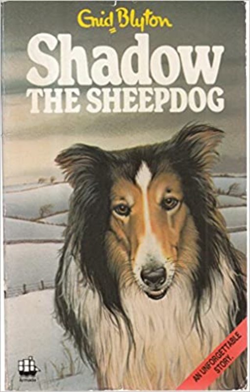 Book cover for "Shadow The Sheepdog" by Enid Blyton