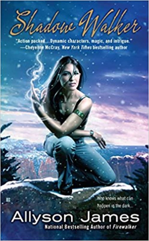 Book cover for "Shadow Walker" by Allyson James