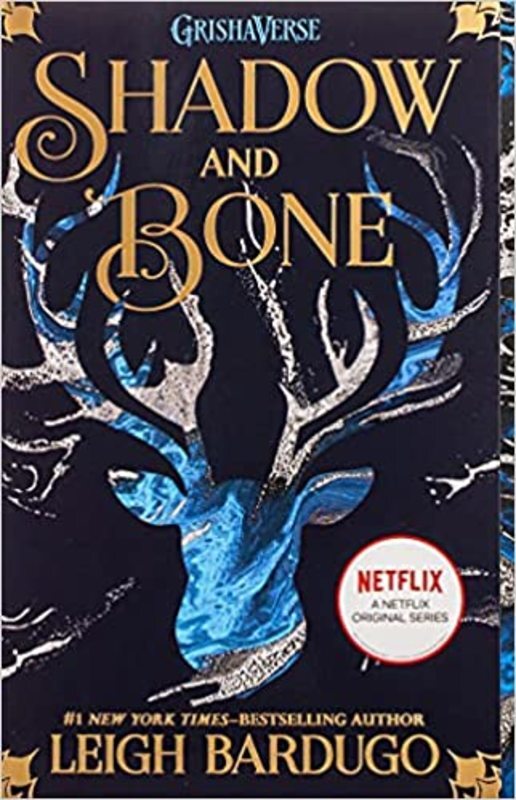Book cover for "Shadow and Bone"
