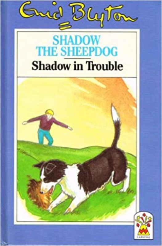 Book cover for "Shadow in Trouble" by Enid Blyton