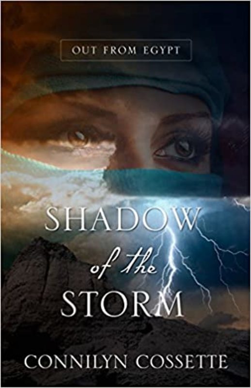 Book cover for "Shadow of the Storm" by Connilyn Cossette
