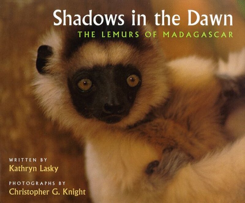 Book cover for "Shadows in the Dawn" by Kathryn Lasky