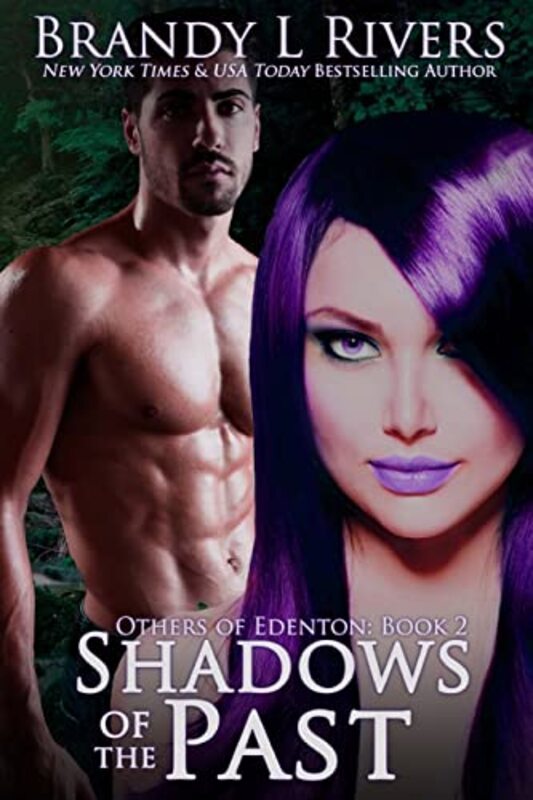 Book cover for "Shadows of the Past" by Brandy L Rivers