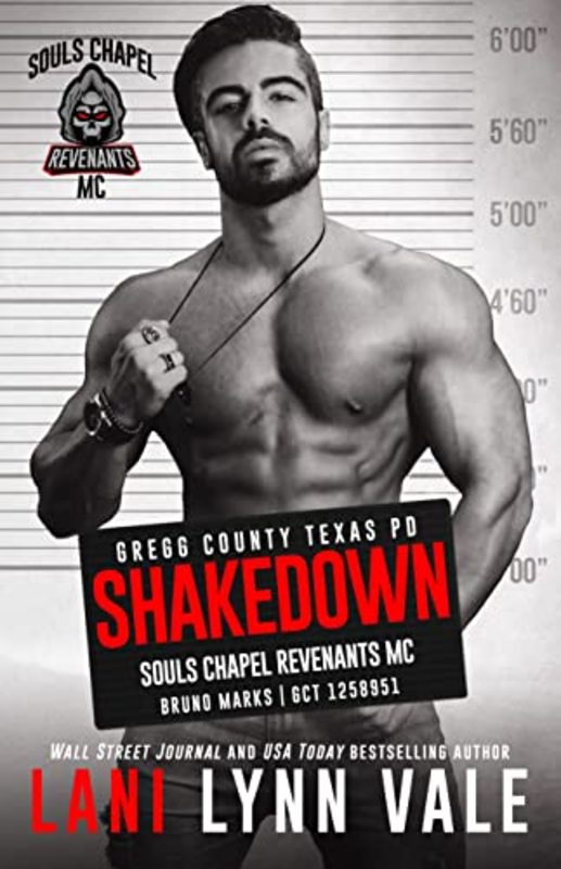 Book cover for "Shakedown" by Lani Lynn Vale