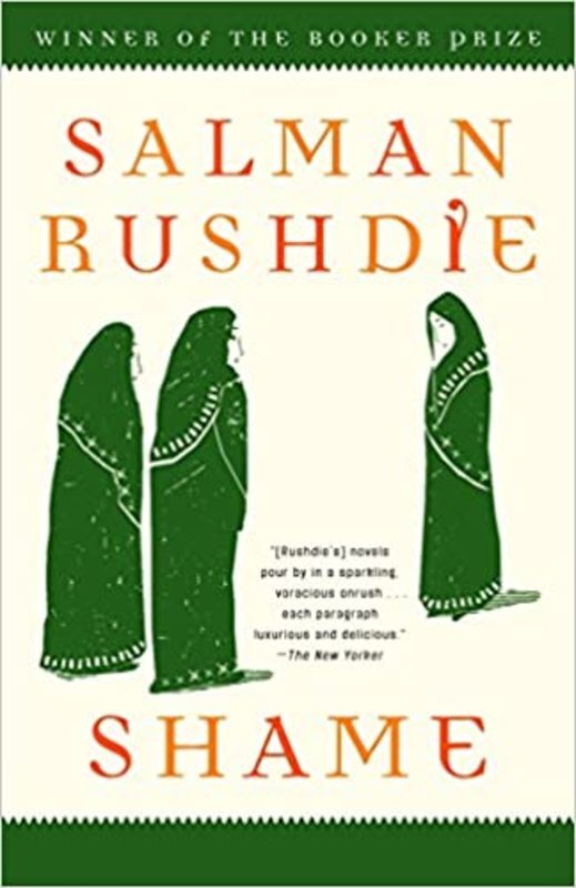 Book cover for "Shame"