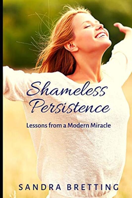 Book cover for "Shameless Persistence" by Sandra Bretting