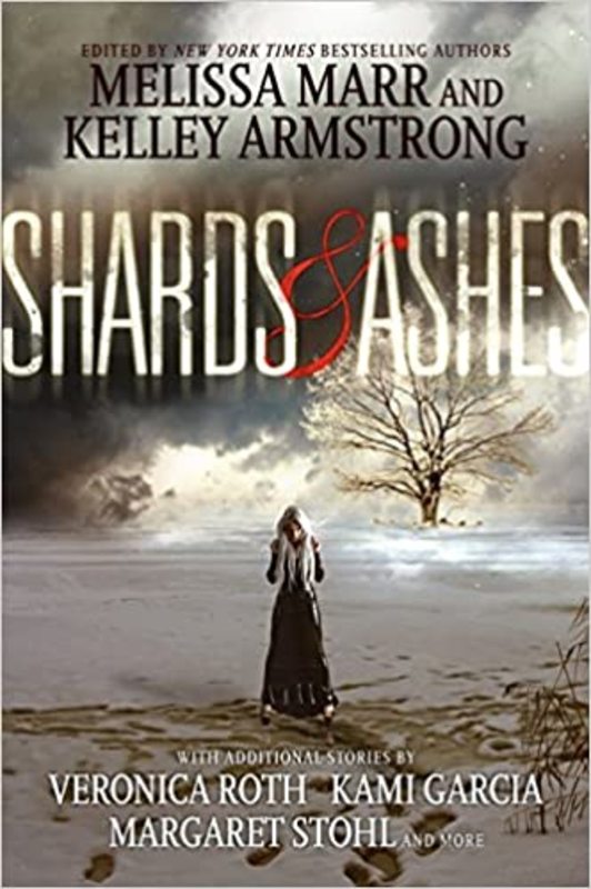 Book cover for "Necklace of Raindrops" by Margaret Stohl