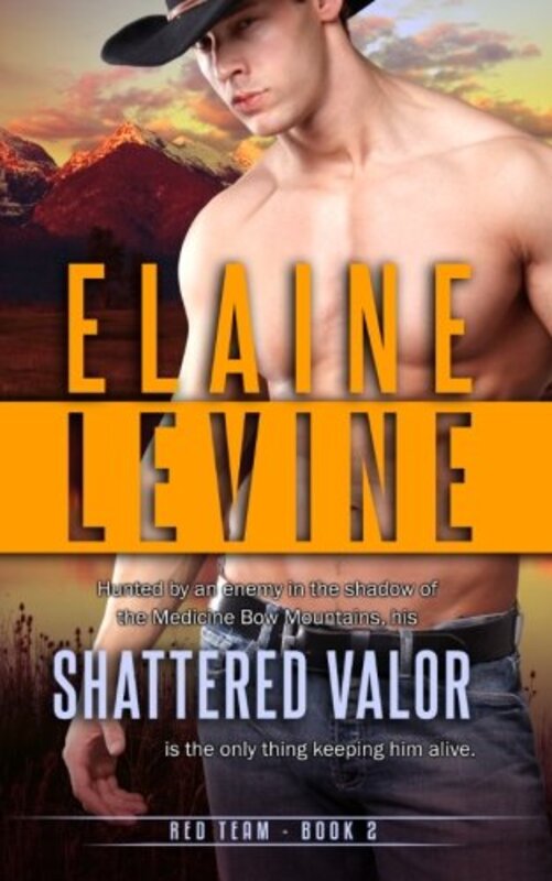 Book cover for "Shattered Valor" by Elaine Levine