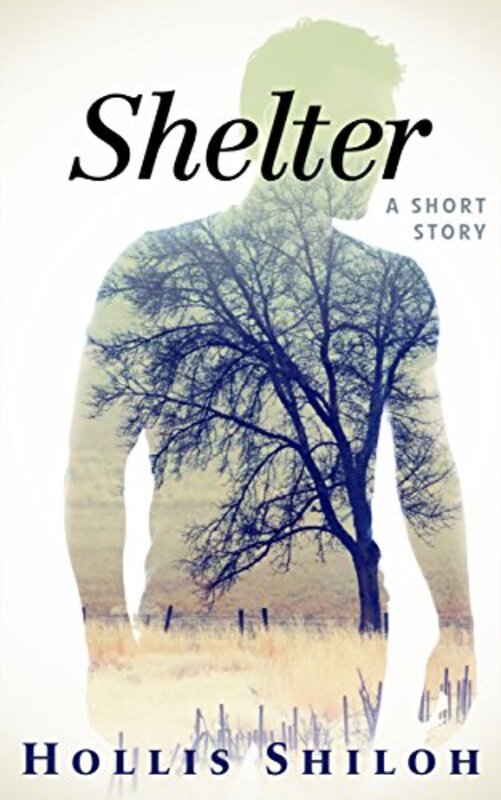 Book cover for "Shelter" by Hollis Shiloh