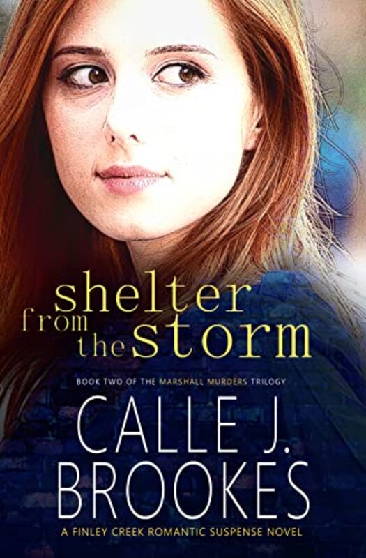 Book cover for "Shelter from the Storm" by Calle J Brookes