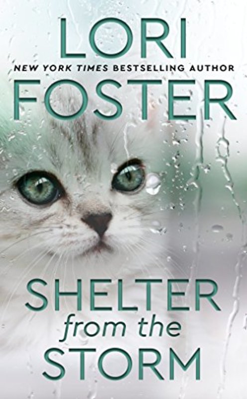 Book cover for "Shelter from the Storm" by Lori Foster