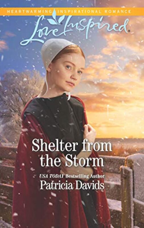Book cover for "Shelter from the Storm" by Patricia Davids