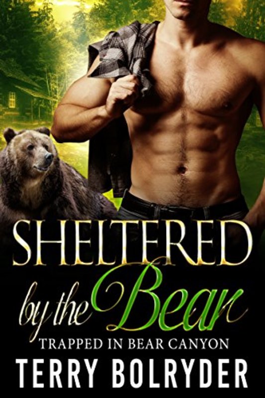 Book cover for "Sheltered by the Bear" by Terry Bolryder