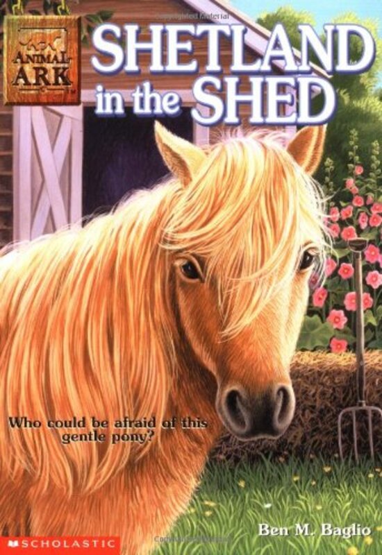 Book cover for "Shetland in the Shed" by Lucy Daniels