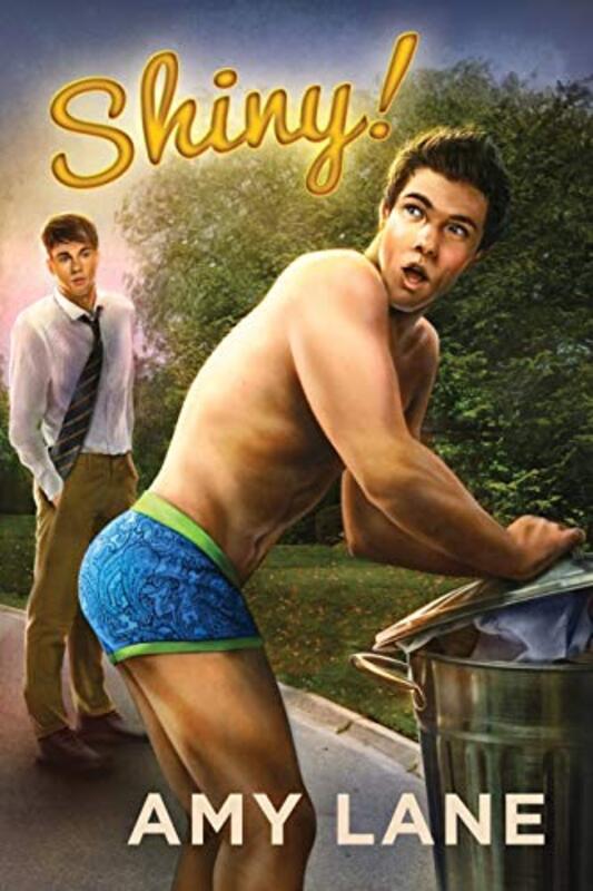 Book cover for "Shiny!" by Amy Lane