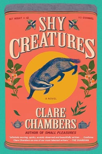Clare Chambers book cover