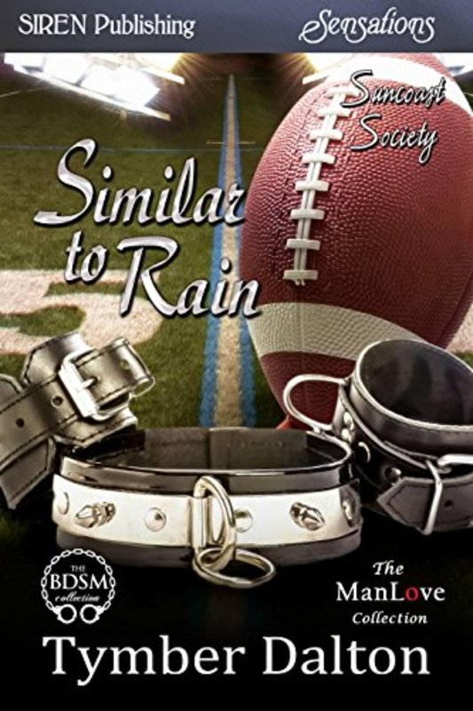 Book cover for "Similar to Rain" by Tymber Dalton
