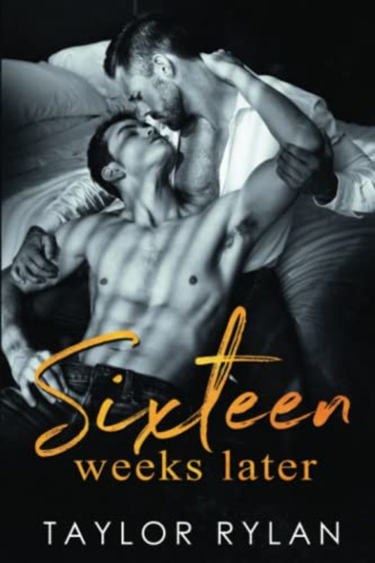 Book cover for "Sixteen Weeks Later" by Taylor Rylan