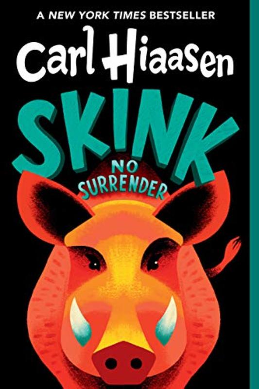 Skink book cover