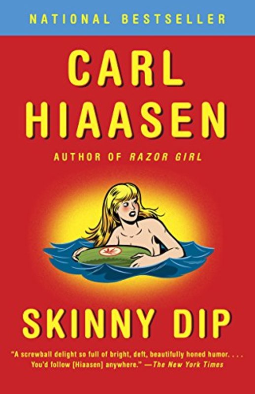 Skink book cover