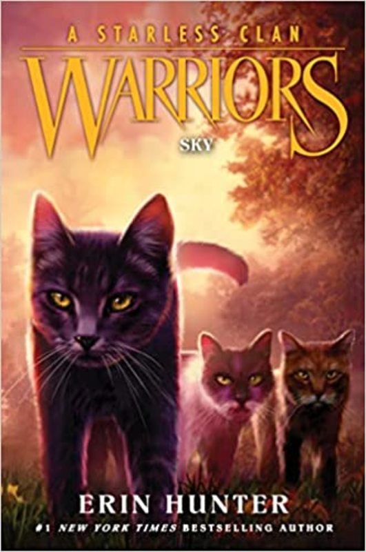 Book cover for "Sky" by Erin Hunter