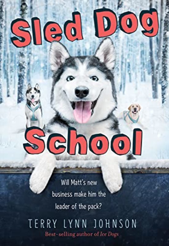 Terry Lynn Johnson book cover
