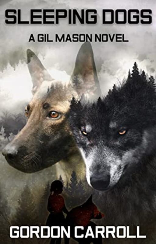 Gordon Carroll book cover
